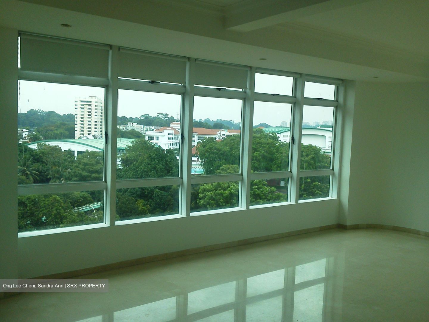Balmoral Place (D10), Apartment #613933771